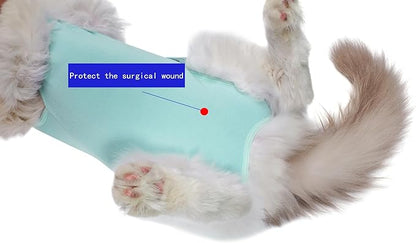 Cat Recovery Suit Female Kitten Cat Onesie for Cats After Surgery Female Spay Surgical Abdominal Wound Skin Diseases Cone Collar Soft Alternative Wear (Green, S) Acoutpet
