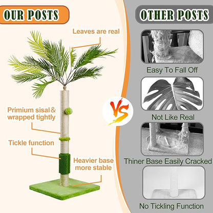MeowHomm Cat Scratching Post, Cat Palm Tree for Indoor Cats with Natural Sisal Scratch Pole Hanging Sisal Ropes and Balls, Cute 40" Tall Cat Scratcher for Large Cat and Kittens - PAWPICO