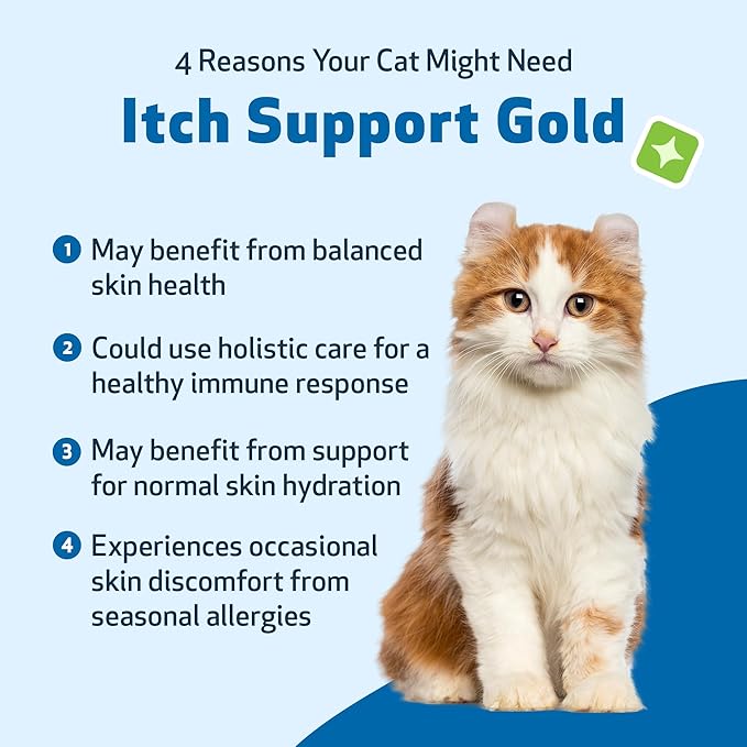 Pet Wellbeing Itch Support Gold for Cats - Occasional Itching, Scratching, and Hot Spots, Environmental and Seasonal Allergies, Dong Quai - Veterinarian-Formulated Herbal Supplement 4 oz (118 ml) PetWellbeing