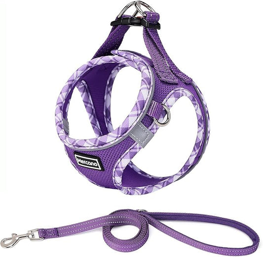 Mercano Soft Mesh Dog Harness and Leash Set, No-Chock Step-in Reflective Breathable Lightweight Easy Walk Vest Harnesses with Safety Buckle for Small Dogs, Cats (S, Purple) PAWPICO
