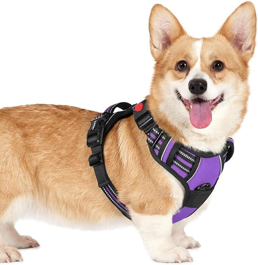 rabbitgoo Dog Harness Small Sized, No Pull Pet Harness with 3 Buckles, Adjustable Soft Padded Pooch Vest with Instant Control Handle, Easy Walking Reflective Pet Vest for Small Dogs, Purple, S rabbitgoo