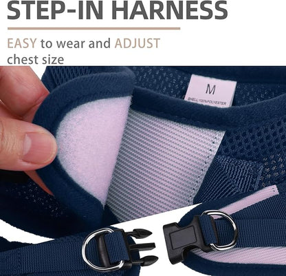 PUPTECK Adjustable Dog Harness Collar and Leash Set Step in No Pull Pet Harness for Small Medium Dogs Puppy and Cats Outdoor Walking Running, Soft Mesh Padded Reflective Vest Harnesses PUPTECK
