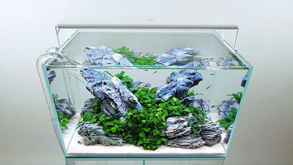 CURRENT USA 18-24" Inch White Full Spectrum Freshwater LED Aquarium Plant Light 10 15 20 25 Gallon | Satellite Plus RGB+ for Aquariums | Wireless 24 Hour Timer Remote Fish Tank Planted Lighting (4320) Current+USA