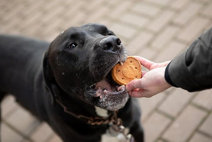 Blue Dog Bakery Natural Dog Treats, More Crunch Large, Assorted Flavors, 18oz Box, 1 Box - PAWPICO