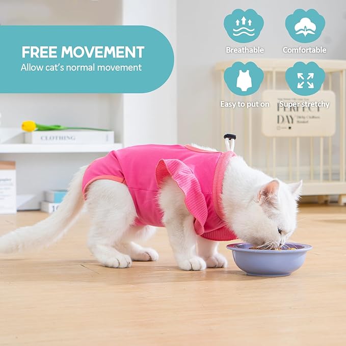 Avont Cat Recovery Suit - Post-Surgery Onesie for Cats, Alternative to Cone of Shame, Protective Spay Suit for Female Kitten, Ideal for Healing and Skin Conditions -Magenta(L) Avont