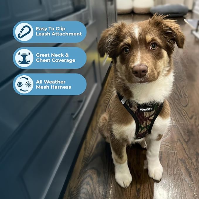 Voyager Step-in Air Dog Harness - All Weather Mesh, Reflective, No Pull Harness for Small, Medium Dogs, Cats - Secure with Hook & Loop Fastener, Buckle, Double D-Rings - Army/Black Trim, M BestPetSuppliesLLC