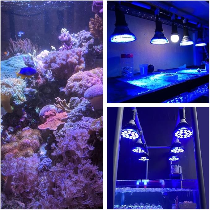 LED Aquarium Lights Bulb 18W Saltwater Fish Tank Light Full Spectrum Aquatic Plants Grow Lamp Refugium Light with UV Blue White Red Green LEDs Reef Lights for Coral Marine Algae Turtle Habitat WelcometoShineCai
