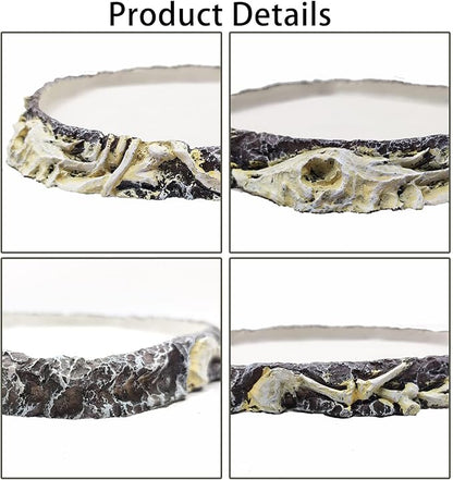 Tfwadmx Reptile Water Bowl Reptile Feeding Dish Reptile Feeder Food and Water Bearded Dragon Food Dish for Turtles, Tortoises, Snakes, Lizards, Geckos, Chameleons Tfwadmx