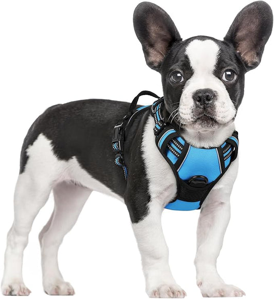 rabbitgoo Dog Harness No Pull with 2 Leash Clips, Adjustable Soft Padded, Reflective Oxford No Choke Pet Vest with Easy Control Handle for Small Dogs, Blue, S rabbitgoo