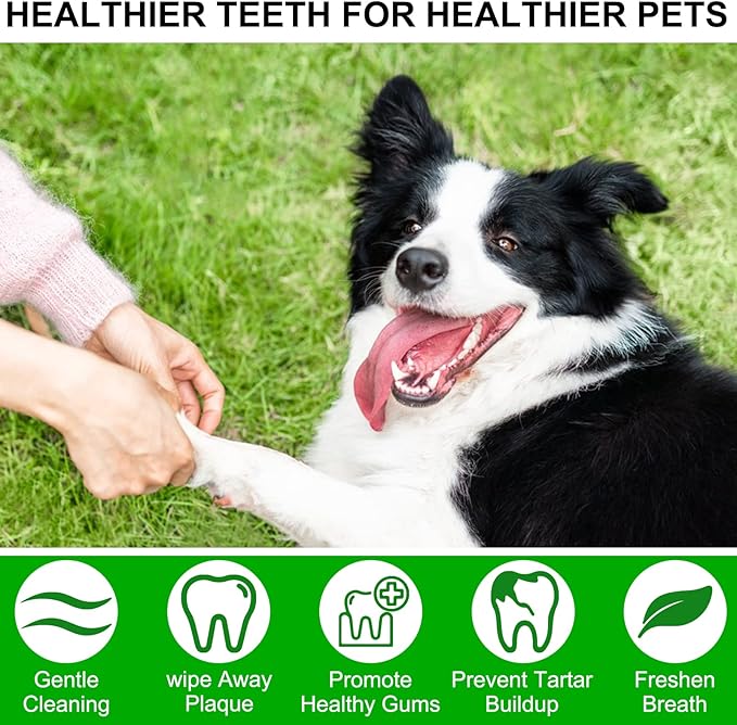 ALIVO Dental Teeth Cleaning Wipes for Dogs & Cats, Remove Bad Breath by Removing No-Rinse Dog Finger Toothbrush, Disposable Gentle Cleaning Pet Dental Care Wipes, 50pc PAWPICO
