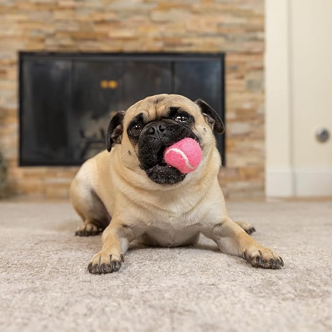 Hyper Pet MINI Tennis Balls for Dogs (Pet Safe Dog Ball Dog Tennis Balls for Exercise & Training) Dog Ball Interactive Dog Toys work with Hyper Pet K9 Kannon MINI Dog Ball Launcher - 4 Pack MINI Pink - PAWPICO