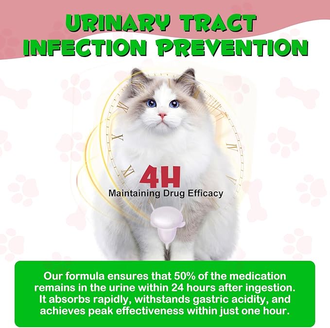 Urinary Tract for Cats, Natural Cat Urinary Tract Infection Treatment Drops - Supports Bladder, Kidney Stone, Dog UTI, Cranberry Kidney Bladder Support Supplement, Chicken Flavor - 60 ml / 2.02oz PAWPICO