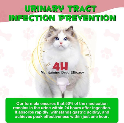 Urinary Tract for Cats, Natural Cat Urinary Tract Infection Treatment Drops - Supports Bladder, Kidney Stone, Dog UTI, Cranberry Kidney Bladder Support Supplement, Chicken Flavor - 60 ml / 2.02oz PAWPICO