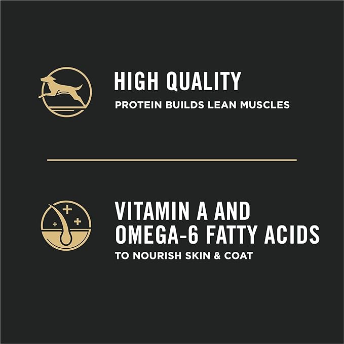 Purina Pro Plan High Protein Puppy Food DHA Lamb & Rice Formula - 6 lb. Bag - PAWPICO