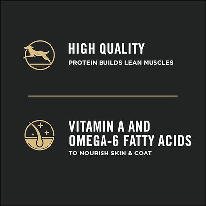 Purina Pro Plan High Protein Puppy Food DHA Lamb & Rice Formula - 6 lb. Bag - PAWPICO