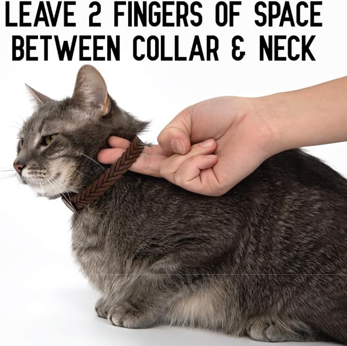 Hip + Joint Mobility Collar for Cats with Glucosamine, Chondroitin, MSM, and More | Convenient & Easy | 30 Days of Continuous Support | Water Resistant, Adjustable Activphy