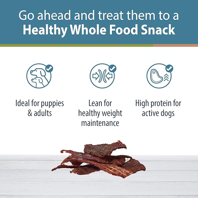 JustFoodForDogs Single-Ingredient Healthy Dog Treats, Beef Brisket, Made in The USA, 5 oz - PAWPICO