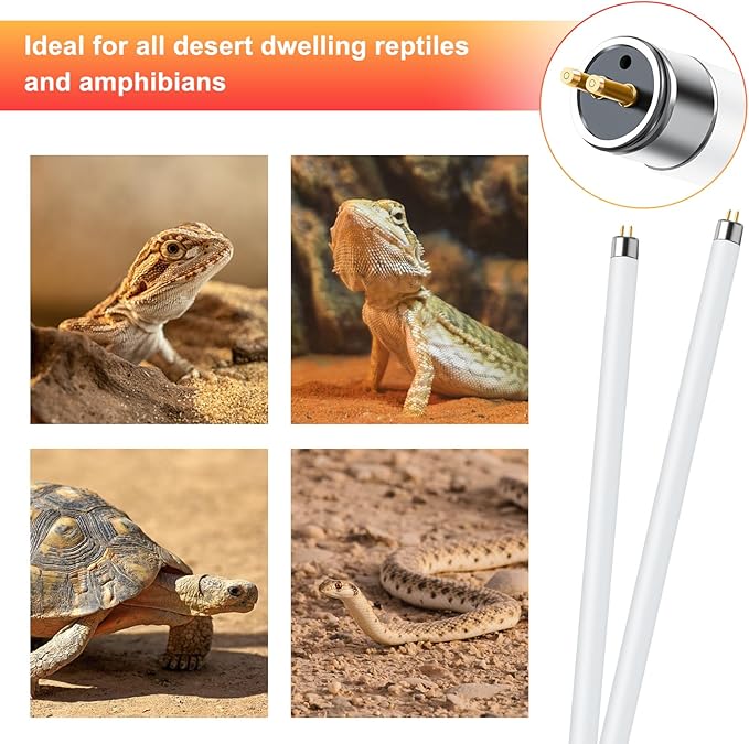 LUCKY HERP 2 Pack T5 UVB 10.0 Reptile Light 24W, UVA UVB Fluorescent Lamp Tube, UVB Lighting Bulb for Turtles, Chameleon, Tortoises, Lizard LUCKYHERP