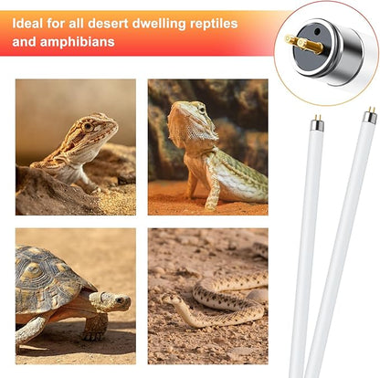 LUCKY HERP 2 Pack T5 UVB 10.0 Reptile Light 24W, UVA UVB Fluorescent Lamp Tube, UVB Lighting Bulb for Turtles, Chameleon, Tortoises, Lizard LUCKYHERP