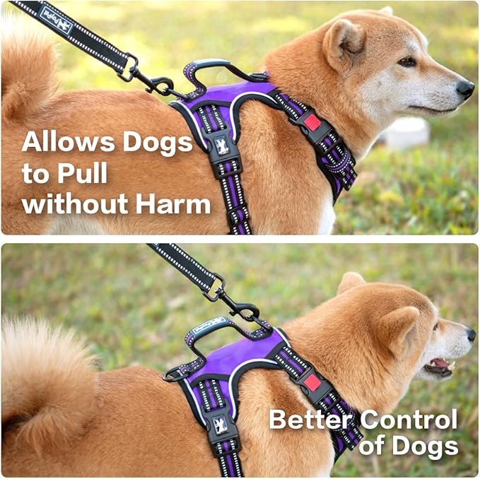 PoyPet No Pull Dog Harness, No Choke Front Clip Reflective Dog Vest with Soft Padded Vertical Handle, 3 Leash Attachments for Small Medium Large Dogs (Purple,XL) PoyPet