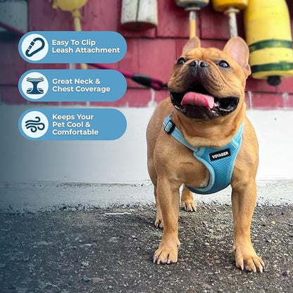 Best Pet Supplies Voyager Adjustable Dog Harness Leash Set with Reflective Stripes for Walking Heavy-Duty Full Body No Pull Vest with Leash D-Ring, Breathable All-Weather - Harness (Baby Blue), XL BestPetSuppliesLLC