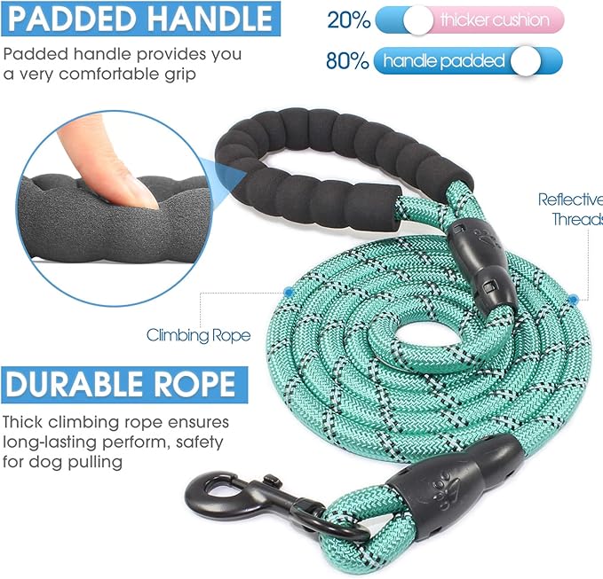 BAAPET 2/4/5/6 FT Dog Leash with Comfortable Padded Handle and Highly Reflective Threads for Small Medium and Large Dogs (5FT-1/2'', Turquoise) - PAWPICO
