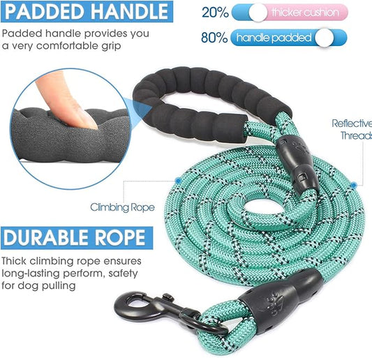 BAAPET 2/4/5/6 FT Dog Leash with Comfortable Padded Handle and Highly Reflective Threads for Small Medium and Large Dogs (5FT-1/2'', Turquoise) - PAWPICO
