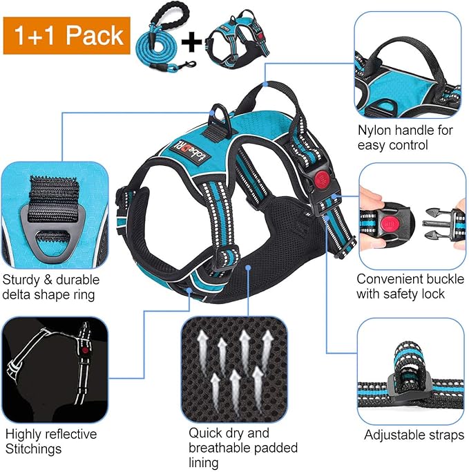 No Pull Dog Harness Adjustable Reflective Oxford Easy Control Medium Large Dog Harness with A Free Heavy Duty 5ft Dog Leash (S (Neck: 13"-18", Chest: 17.5"-22"), Blue Harness+Leash) tobeDRI
