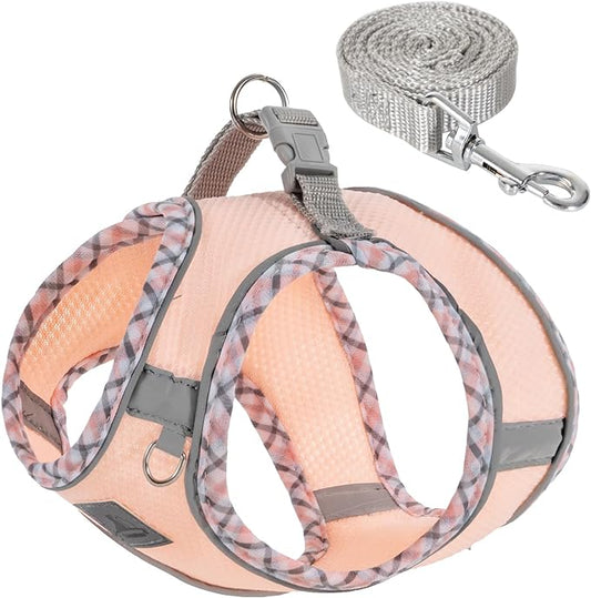 Dog Harness and Leash Set, No Pull Pet Harness for Small Dogs Easy Walking,Soft Breathable Small Dog Harness,Adjustable Reflective Step in Vest Harness for Puppy,Kitten, Cats TomteNisse