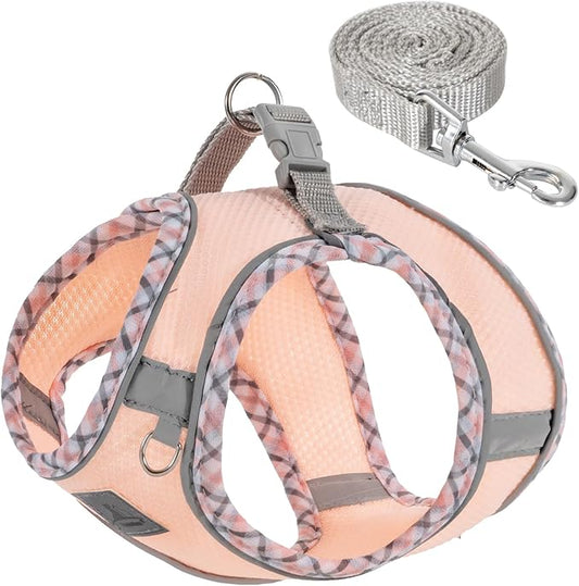 Dog Harness and Leash Set, No Pull Pet Harness for Small Dogs Easy Walking,Soft Breathable Small Dog Harness,Adjustable Reflective Step in Vest Harness for Puppy,Kitten, Cats TomteNisse