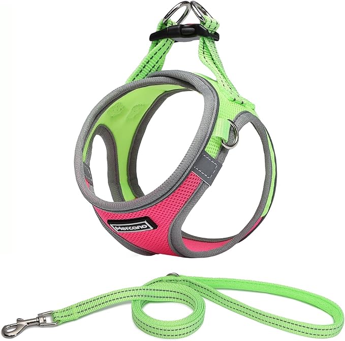 Mercano Soft Mesh Dog Harness and Leash Set, No-Chock Step-in Reflective Breathable Lightweight Easy Walk Escape Proof Vest Harnesses with Safety Buckle for Small Medium Dogs, Cats (XL, Hot Pink) PAWPICO