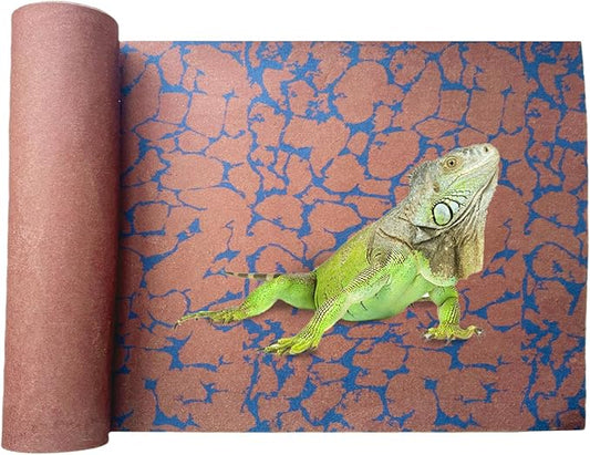 BNOSDM Reptile Carpet Pet Desert Mat Terrarium Liner Bedding Mats Reversible Substrate for Lizard Gecko Tortoise Snake Chameleon Bearded Dragon 39.3x19.6IN BNOSDM
