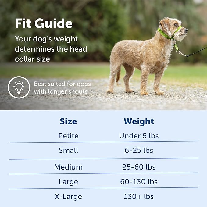 PetSafe Gentle Leader No-Pull Dog Headcollar - The Ultimate Solution to Pulling - Redirects Your Dog's Pulling for Easier Walks - Helps You Regain Control - Small, Apple Green PetSafe