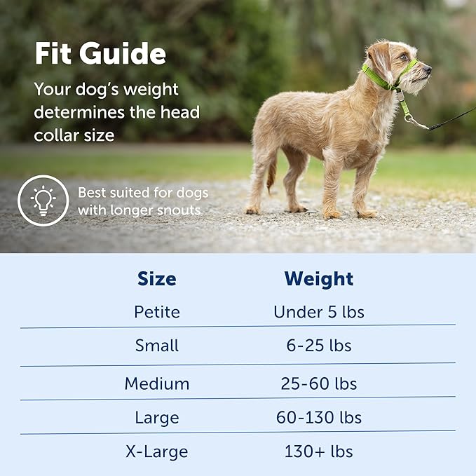PetSafe Gentle Leader No-Pull Dog Headcollar - The Ultimate Solution to Pulling - Redirects Your Dog's Pulling for Easier Walks - Helps You Regain Control - Small, Fawn PetSafe