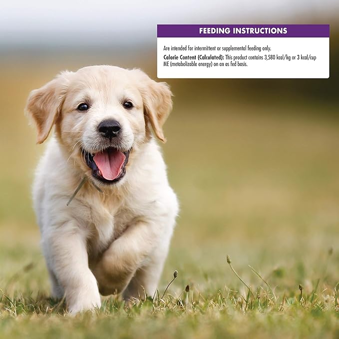 Wellness Crunchy Puppy Bites Natural Grain-Free Treats for Training, Dog Treats with Real Meat and DHA, No Artificial Flavors (Crunchy Chicken & Carrots, 6-Ounce Bag) - PAWPICO