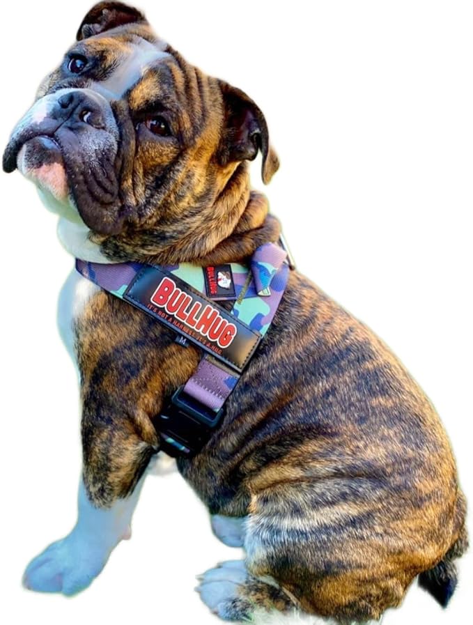 BULLHUG Harness – Made for Larger Chested Dogs Like English Bulldogs, French Bulldogs, Pugs & More. Stops Dogs from Pulling & Choking on Walks (Army, Small) BULLHUG