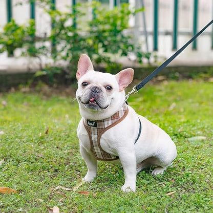 PUPTECK Soft Mesh Dog Harness and Leash Set Pet Puppy Cat Comfort Padded Vest No Pull Harnesses, Brown, XS PUPTECK