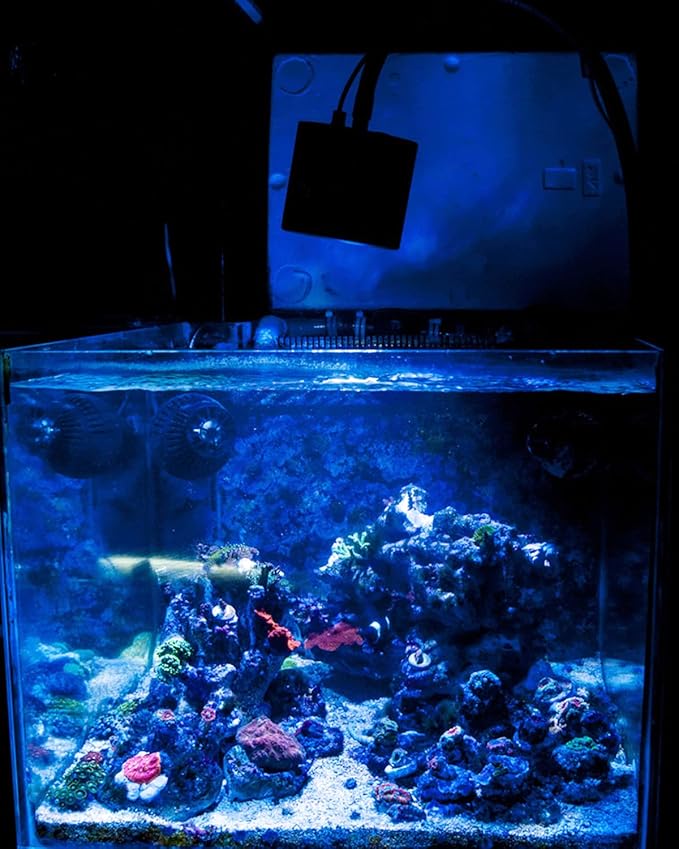 Lominie Aquarium LED Light, Reef Coral Light Full Spectrum Saltwater Aquarium Light with Remote Control Gooseneck for 10 Gallon Fish Tank Lominie