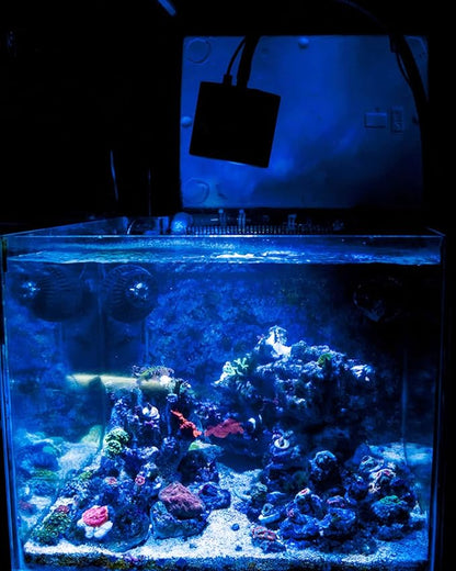 Lominie Aquarium LED Light, Reef Coral Light Full Spectrum Saltwater Aquarium Light with Remote Control Gooseneck for 10 Gallon Fish Tank Lominie
