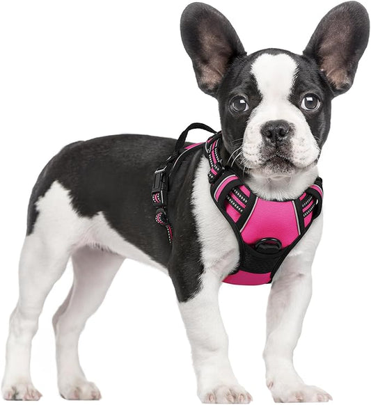 rabbitgoo Dog Harness No Pull with 2 Leash Clips, Adjustable Soft Padded, Reflective Oxford No Choke Pet Vest with Easy Control Handle for Large Dogs, Hot Pink, S rabbitgoo