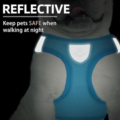 PUPTECK Adjustable Dog Harness Collar and Leash Set Step in No Pull Pet Harness for Small Medium Dogs Puppy and Cats Outdoor Walking Running, Soft Mesh Padded Reflective Vest Harnesses PUPTECK