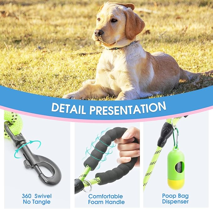 BAAPET 2/4/5/6 FT Dog Leash with Comfortable Padded Handle and Highly Reflective Threads for Small Medium and Large Dogs (6FT-1/2'', Green) BAAPET