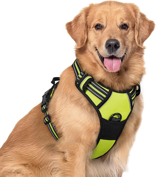 rabbitgoo Dog Harness No Pull with 2 Leash Clips, Adjustable Soft Padded, Reflective Oxford No Choke Pet Vest with Easy Control Handle for Large Dogs, Green, XL rabbitgoo