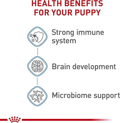 Royal Canin Size Health Nutrition Dry Large Breed Puppy Food, Supports Brain Development, Immune Support and Digestive Health, 30 lb Bag - PAWPICO