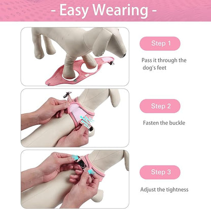 Dog Harness for Small Dogs, Small Dog Harness and Leash Set, Honeycomb Grid, Reflective Lightweight Harness & Anti-Twist Pet Lead,Dog Harness(Multi Color, Size: XS-S-M) (XS, Pink) PAWPICO