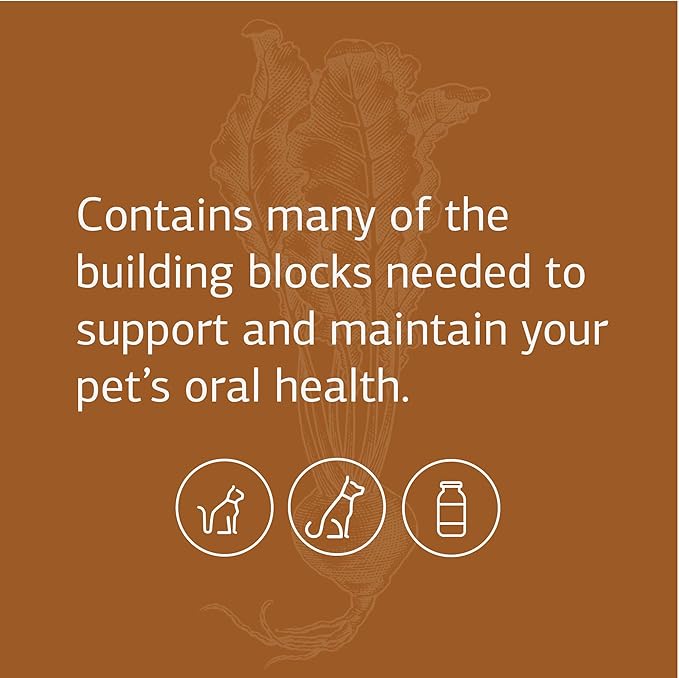 Standard Process VF Bio-Dent for Pets - Bone Growth & Healthy Tissue Support Pet Supplement - Overall Mouth Health Support Supplement - Nutritional Supplement for Cats & Dogs - 90 Tablets StandardProcess