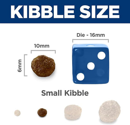 Hill's Science Diet Adult 1-6, Adult 1-6 Premium Nutrition, Small Kibble, Dry Dog Food, Lamb & Brown Rice, 15.5 lb Bag - PAWPICO