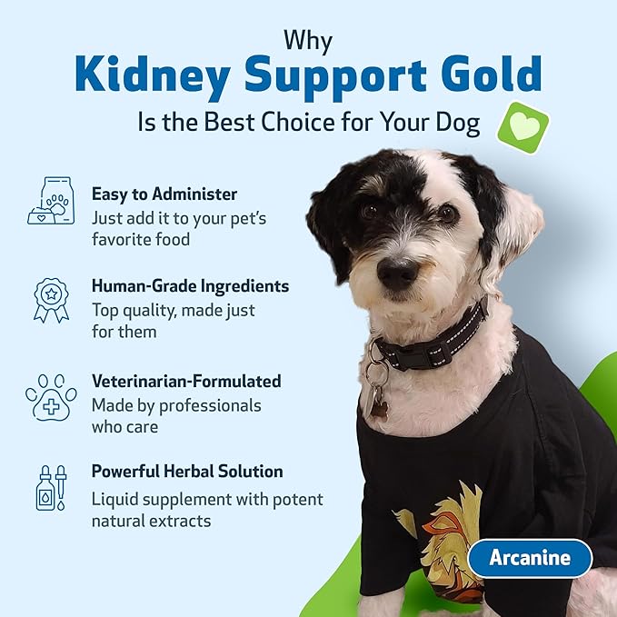 Pet Wellbeing Kidney Support Gold for Dogs - Healthy Kidney Function, Fluid Balance, Energy Levels, Normal Appetite, Rehmannia, Dong Quai - Veterinarian-Formulated Herbal Supplement 2 oz (59 ml) PetWellbeing
