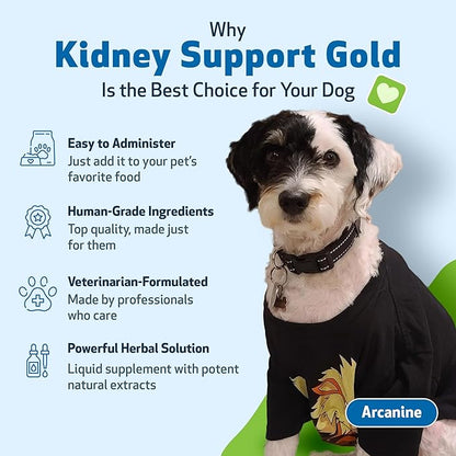 Pet Wellbeing Kidney Support Gold for Dogs - Healthy Kidney Function, Fluid Balance, Energy Levels, Normal Appetite, Rehmannia, Dong Quai - Veterinarian-Formulated Herbal Supplement 2 oz (59 ml) PetWellbeing