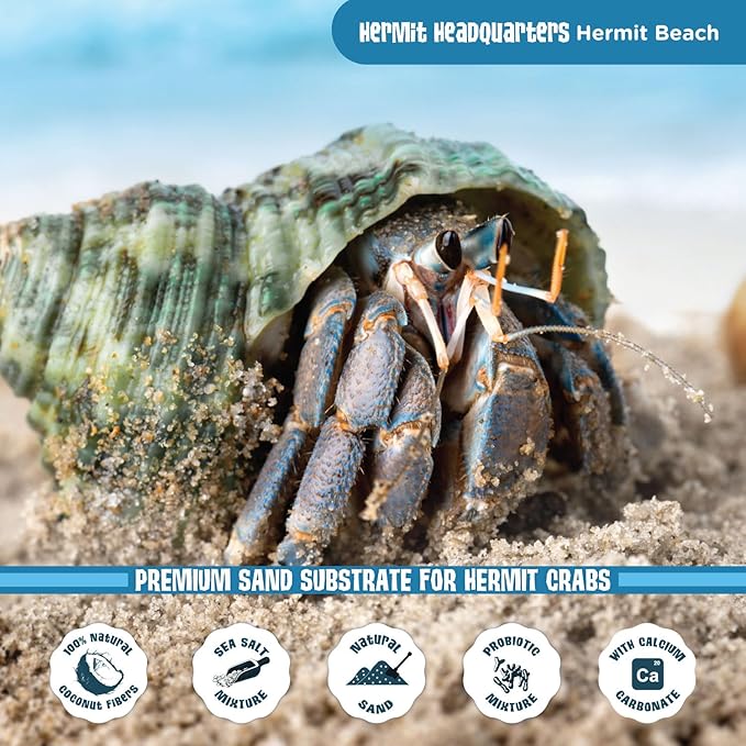 Fluker's All-Natural Premium Sand Substrate Mixture for Hermit Crabs, 12lbs Flukers